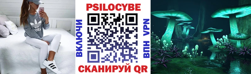 Псилоцибиновые грибы Psilocybine cubensis  сайты даркнета официальный сайт  Игарка 
