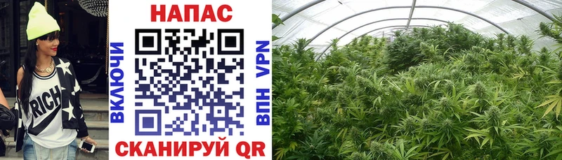 купить наркотик  Игарка  Конопля OG Kush 